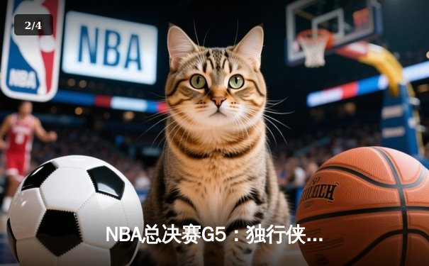 NBA总决赛G5：独行侠惊天逆转，东契奇准三双助球队夺赛点 - 2