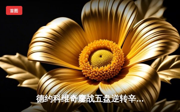 德约科维奇鏖战五盘逆转辛纳，第24座大满贯冠军加冕澳网